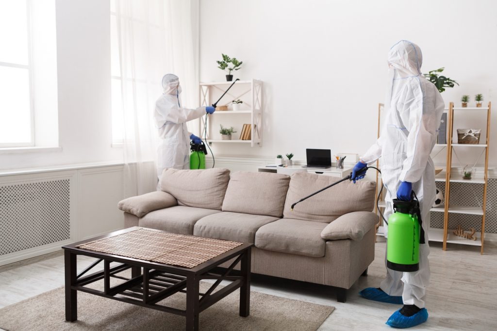 Fly Management Services